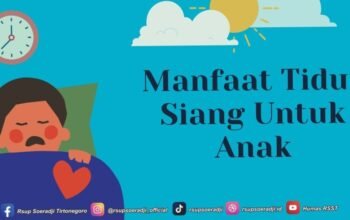 Segudang Kelebihan Tidur Siang Bagi Anak, Lengkap dengan Rincian Durasinya dalam 24 Jam