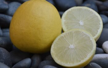 Rahasia Manfaat Jeruk Lemon Dalam Segelas Air Plus Madu, Tidak Hanya Membakar Lemak, Juga Turunkan Berat Badan Secara Alami